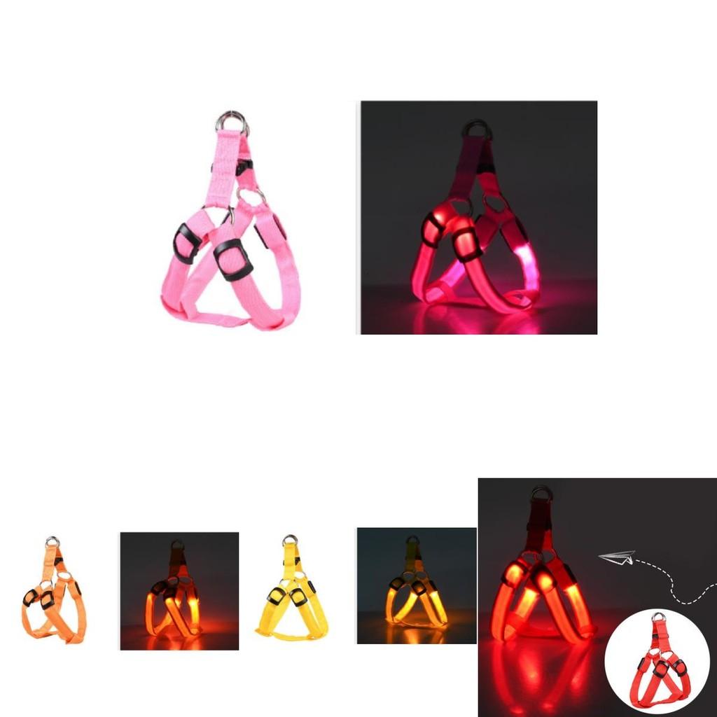Versatile Led Pet Harness For Nighttime Walks With Adjustable Sizing For Dogs