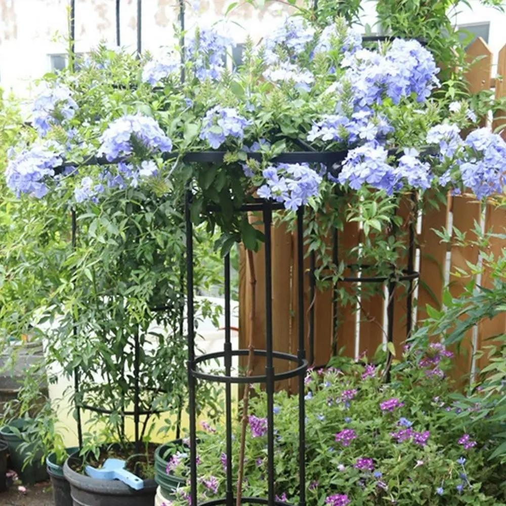 90/120/150cm Climbing Rose Arch DIY Assemble Climbing Plant Support  Vertical Garden Patio Balcony