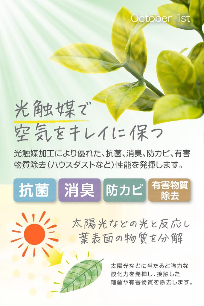 October1st Faux Greenery, Artificial Houseplants, 3-Piece Set, Tabletop, Photocatalytic Treatment, Artificial Flowers, Interior Decor, Mini Indoor