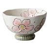 Ruhan Seto Hand-Painted Pastel Flower Rice Bowl
