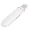 EMS Ultrasonic Skin Scrubber Blackhead Pimple Removal Lifting Ion Pore Cleaner Machine