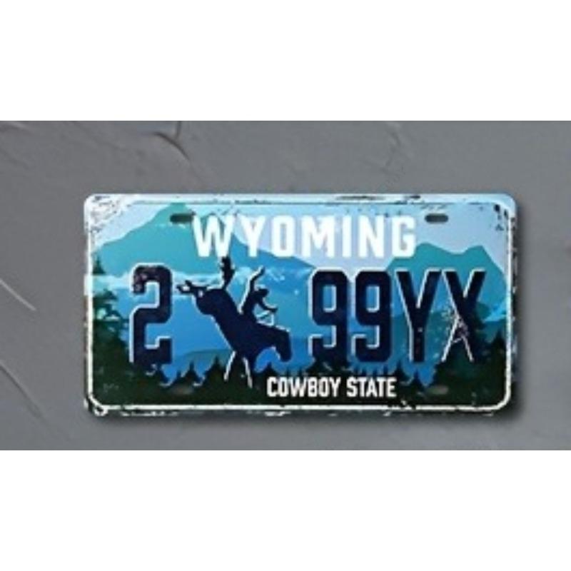 Souvenir Metal License Plate, Custom Auto Sign 15x30cm