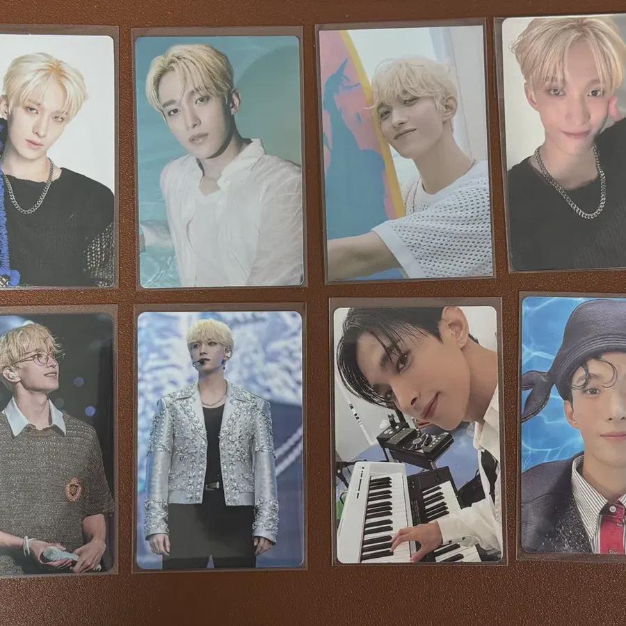 

Seventeen Dokyum Poca Is In Bulk