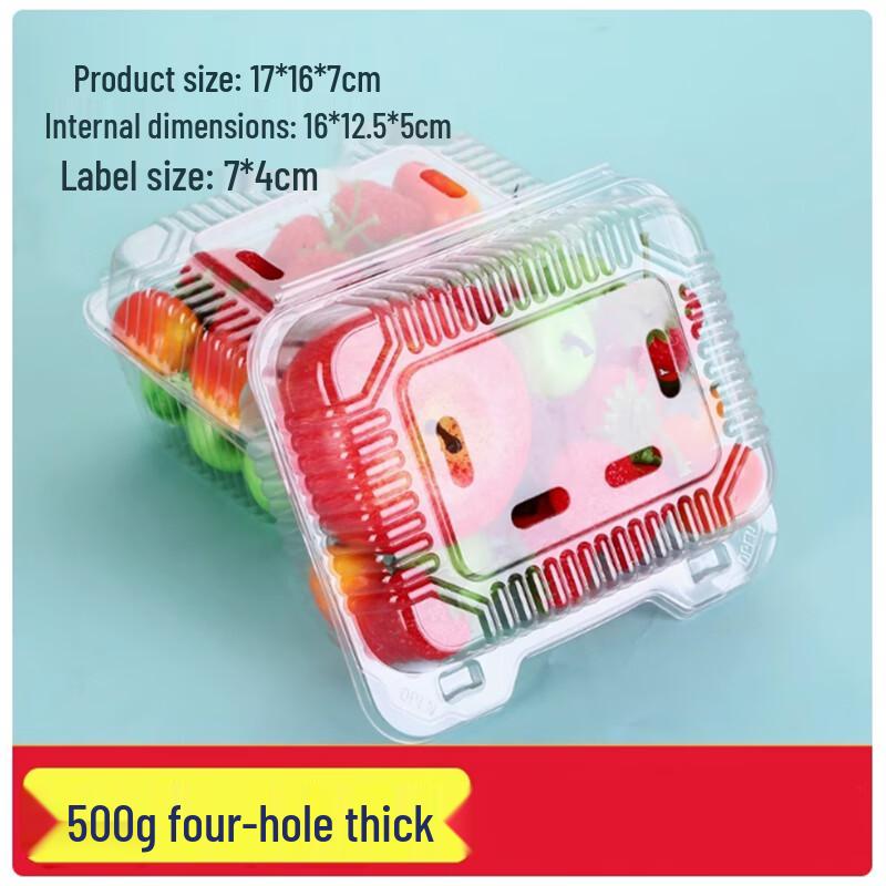 Sanbila Disposable Fruit & Takeaway Food Containers