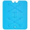 Cooling insert for a portable refrigerator, flat set of 2, 900 g