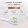 Philips HX2033 C1 Toothbrush Head