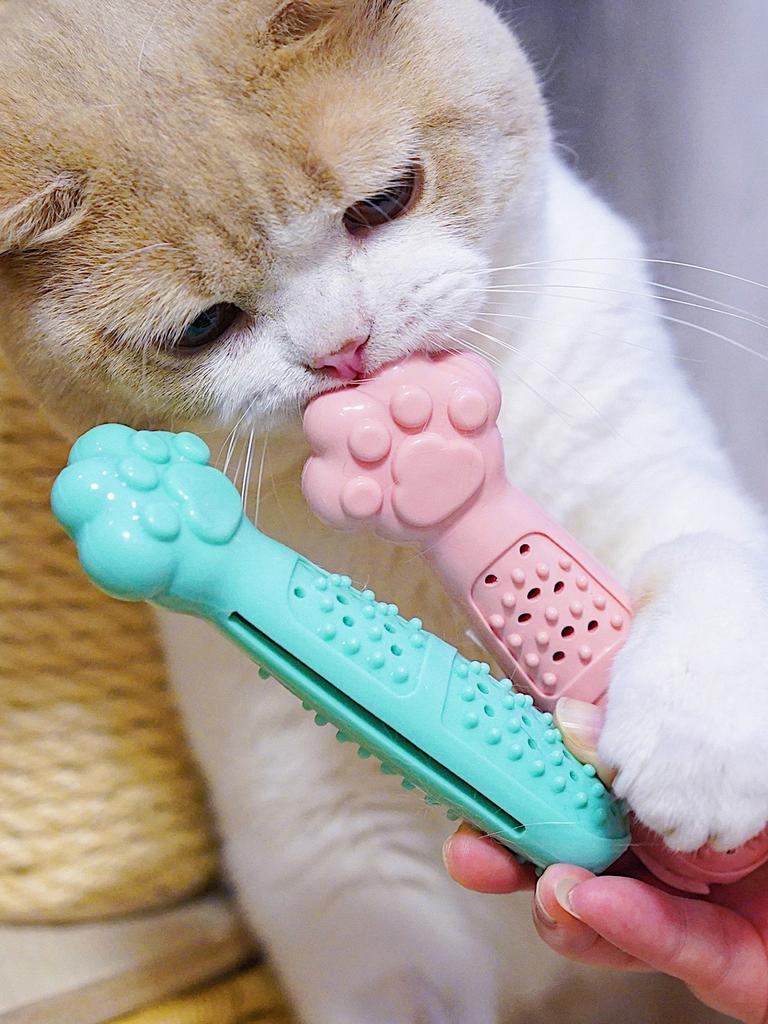 1pcTeething Toothbrush Toy for Cats Massaging - Pet Dental Bite Kitten Toy with Catnip Rubber Teeth Care Cleaning Cat Foot Shape