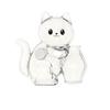 DIY Pet Hair Keepsake Box Creative Cat Hair Storage Box Pet Hair Collection Box  Pet Souvenirs