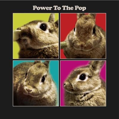 

CD VARIOUS - Power To The Pop SICP31336 Sony Records In 2019 Japan Rock Used