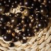 Kalimantan Agarwood Bracelet: Natural Handcrafted DIY Buddhist Rosary Beads for Cultural Play