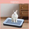 Box Litter With Portable Toilet Double Layer Grid Guinea Pig Tray Potty For Small Animals
