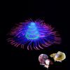 Colorful Simulation Coral Artificial Aquatic Plants Christmas Tree Coral  Living Room