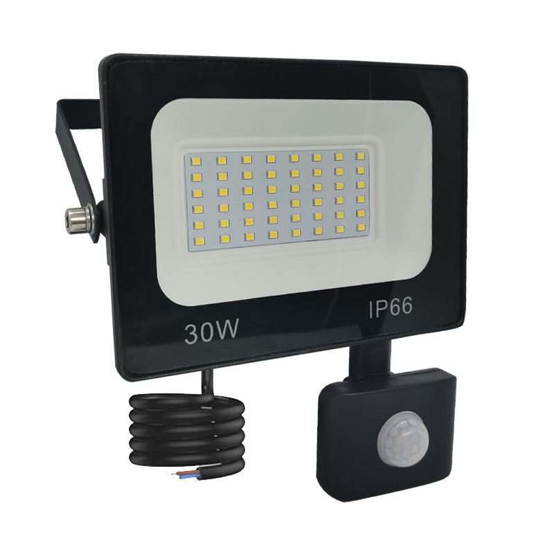 20W IP66 LED Motion Sensor Floodlight with Sound-Light Control