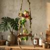 Cute Frogs Climbing Ladder With Wine Cup Wall Hanging Decors Resin Sculpture For Home Bookshelves And Garden Decoration