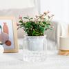 Round Self Watering Flower Pots Hydroponics Plant Pot Vase Self-Absorbent Water Planter For Home Bonsai Indoor Tabletop Decor
