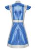 Women's Space Fighter Costume Alien Dress-Up, Metallic Shiny Contrast Dress with Mock Neck & Cap Sleeves for Halloween Cosplay