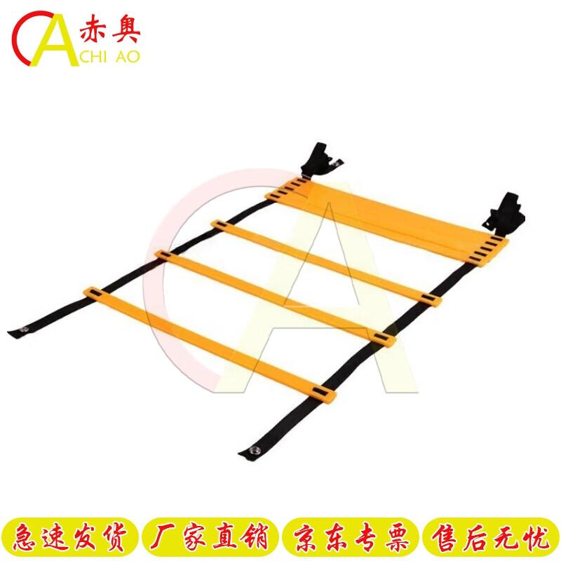 Speed & Agility Training Ladder