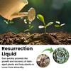 Plant And Flower Activating Liquid Solution Improves Plant Health Promote Root Development Plant Nutrient Solution