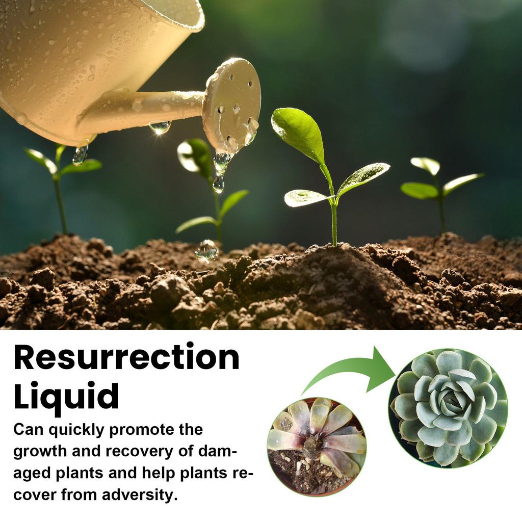 Plant And Flower Activating Liquid Solution Improves Plant Health Promote Root Development Plant Nutrient Solution