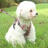 Small Dog Harness Vest Set Cute Traction Bracelet Medium Cat Collar Suit Soft Puppy Vest Harness Adjustable Pet Accessories