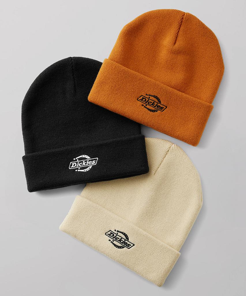 Dickies Summerdale Beanie Black