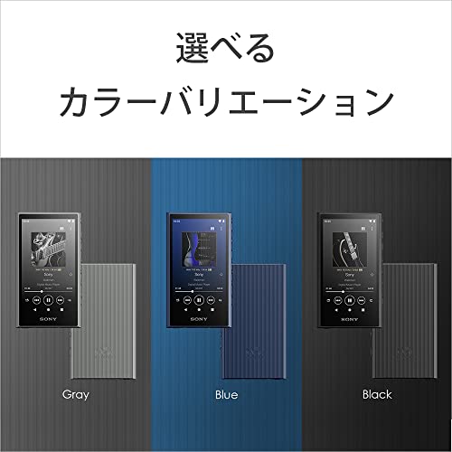 Sony Walkman NW-A307 64GB A300 Series MP3 Player Touch Panel Wireless Hi-Res Audio Bluetooth Android Streaming LDAC aptX HD MicroSD Support Black