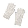Fashion Style Thick Warm Women's Knitted Gloves Windproof Touch Screen Outdoor Gloves Keep Warm Plush Cold-proof Gloves Gifts