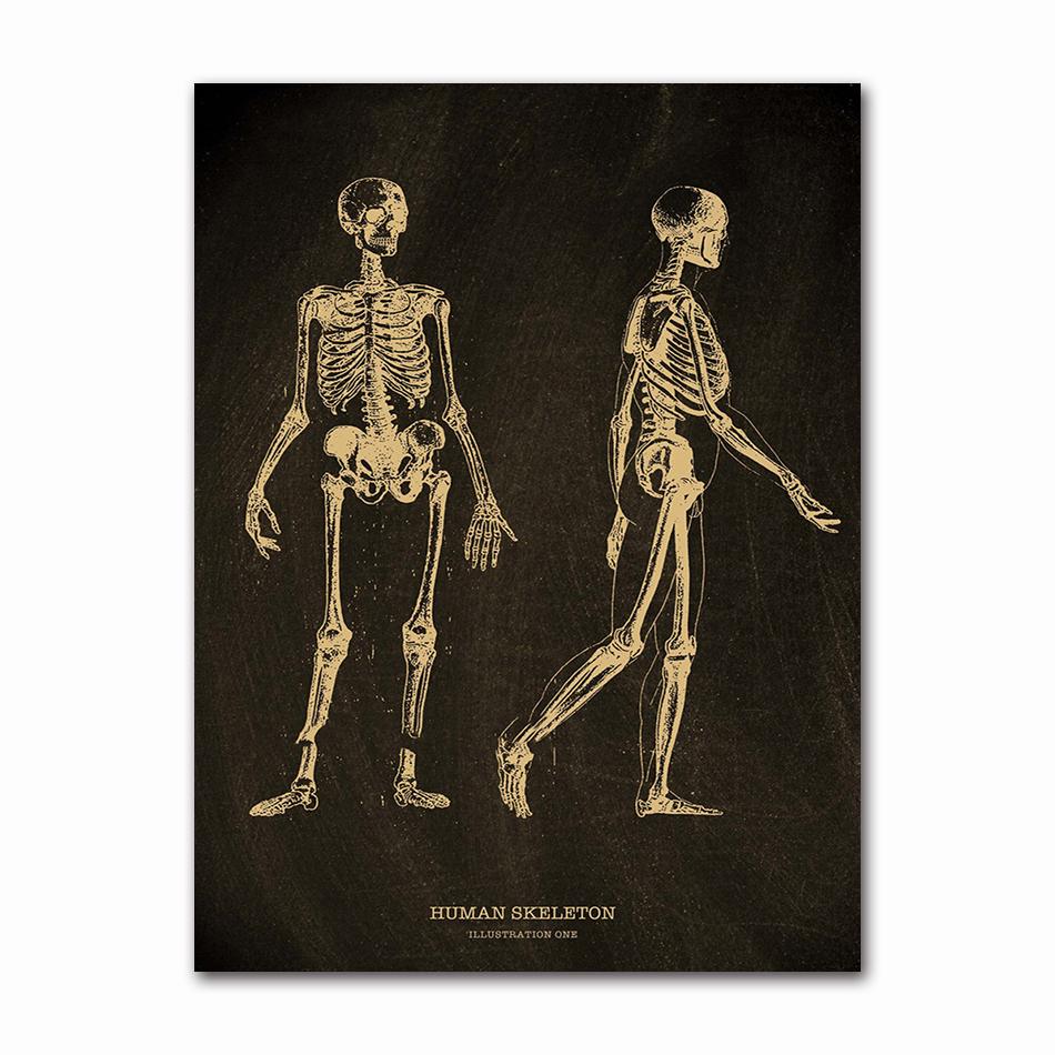Anatomical Skeleton Chalkboard Poster Kraft Paper Posters DIY Vintage Home Room Medicine Student Decor Medical Art Wall Painting