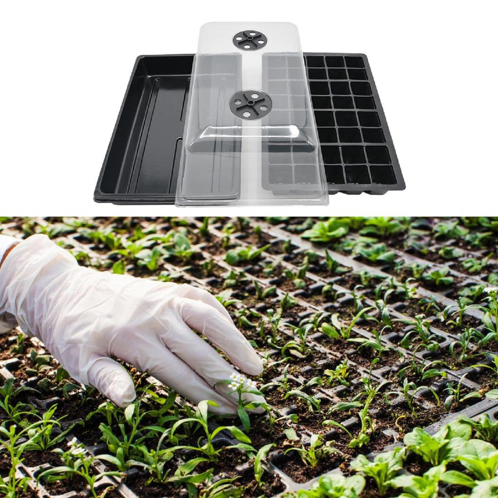 Plant Starter Tray 40 Cells Indoor Transparent,Plant Germination Sprouting Container for