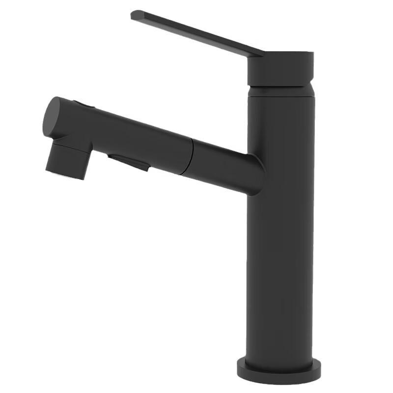 TLXT Pull-Out Basin Faucet with Mouthwash Function