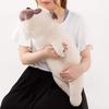 Livheart Premium Nemunemu Animals Hana the Pug Body Pillow, Large (Approx. 67cm), Fluffy and Squishy Plush Toy, Gift Item 48768-32