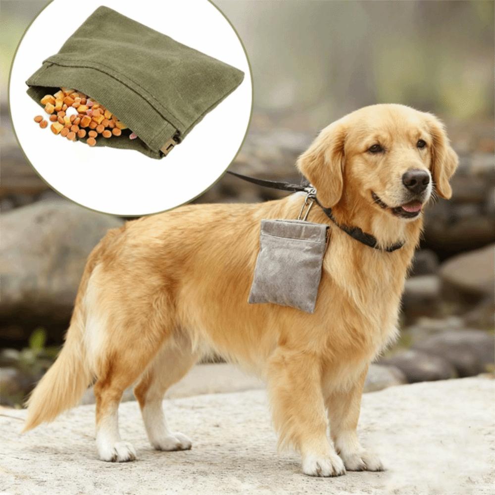 Stain-resistant Dog Training Snack Bag With Carabiner Walking Dog Snack Bag Pet Store