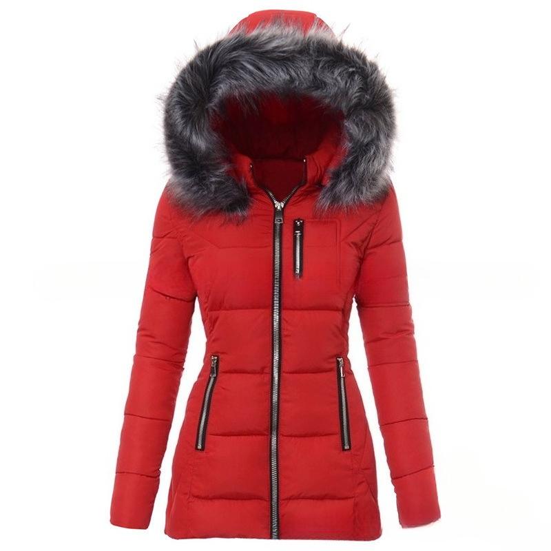 Women`s Stand Collar Long Sleeve Slim