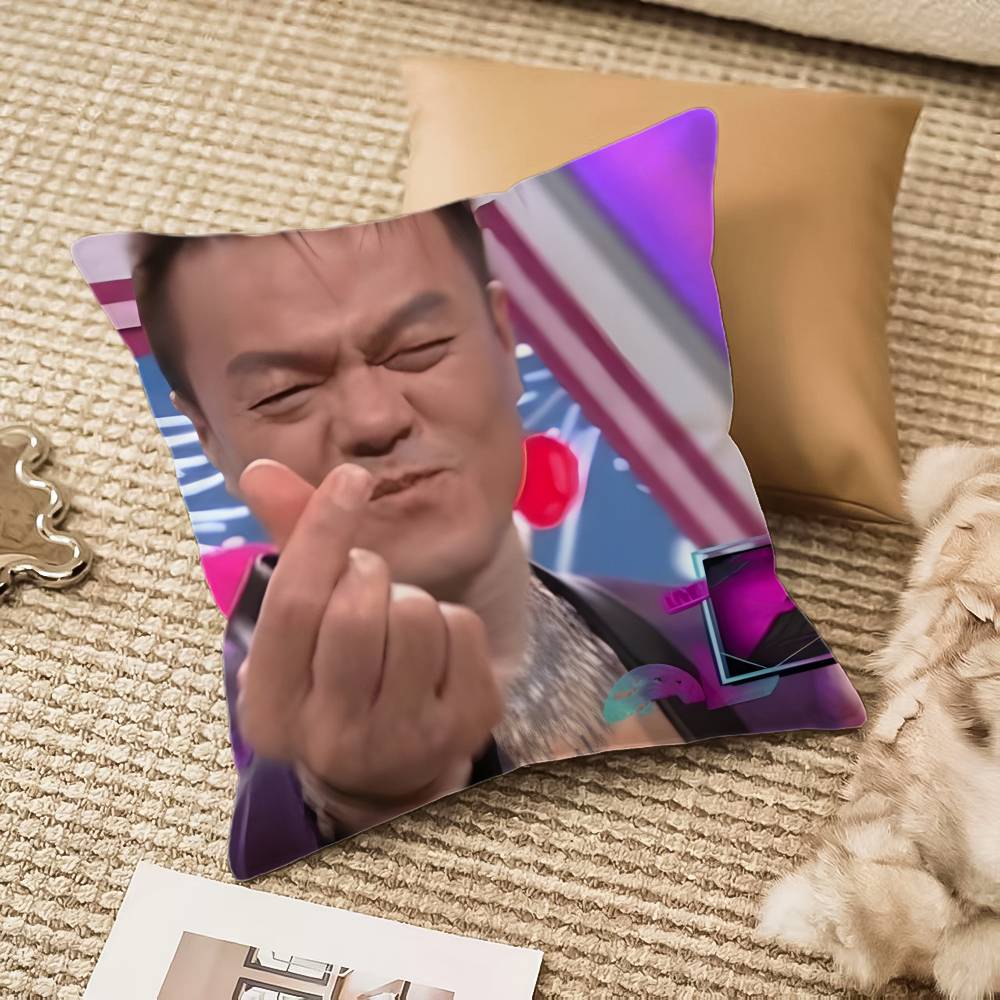 PPark JJinYYoung Funny Meme Pillow Case Antidustmite Invisible Zipper Sofa Bed