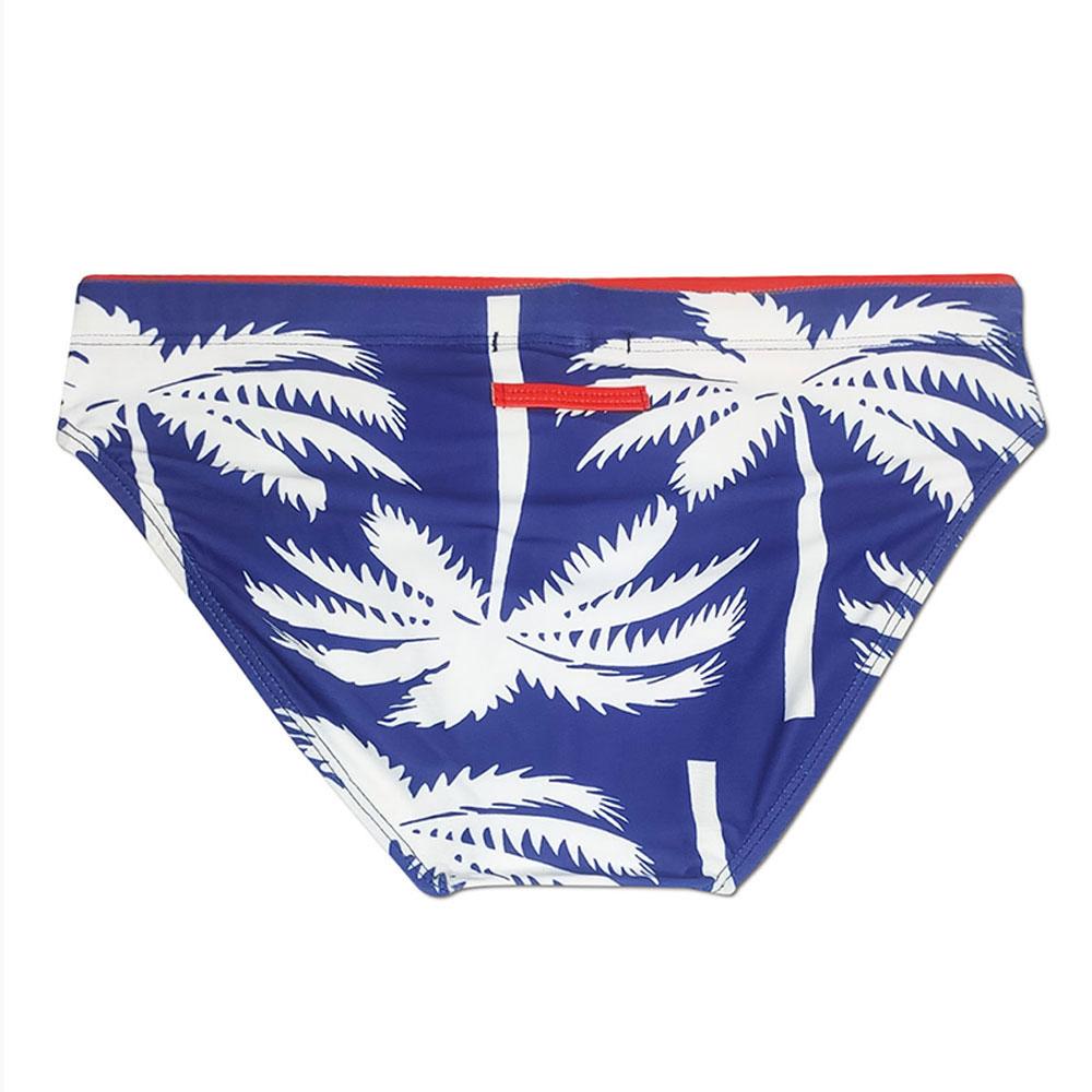 Men's  Fashion Strips Sexy Men's Brief Sexy Printed Swimsuit for Men Surfing Swimwear Low-Rise