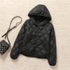 Autumn and Winter New Hooded Short Light Down Jacket Women's Casual Versatile Outer Wear Small Duck Down Jacket Trendy