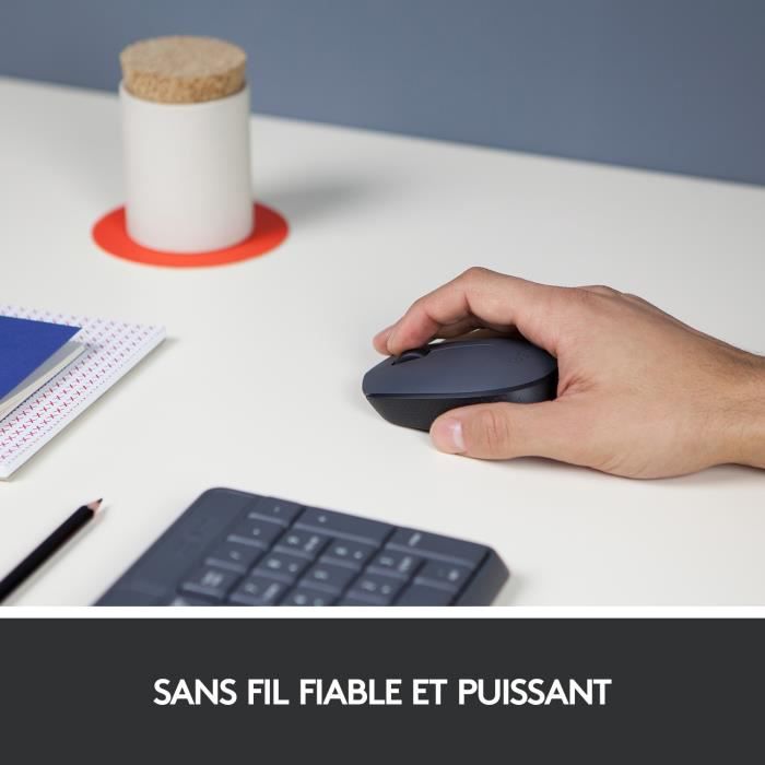 Souris - Sans fil - Logitech - M170 - Ambidextre - Gris