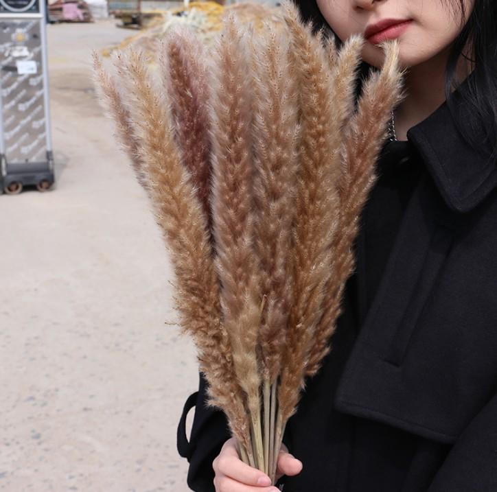 Preserved Small Dried Reed Rabbit Tail Flower Bouquet
