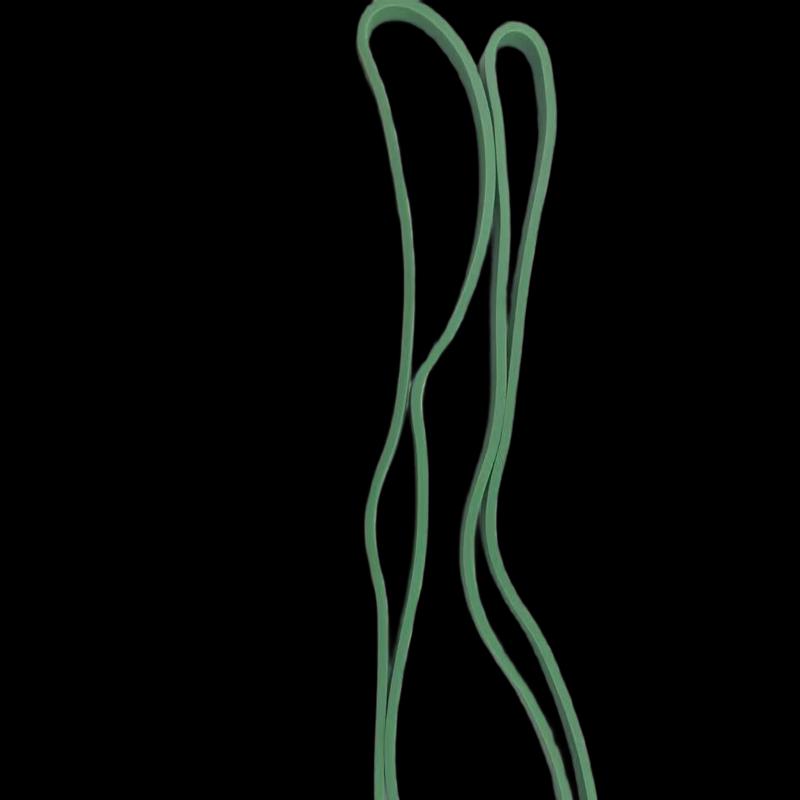 Jingzao ZLS-002 Resistance Band