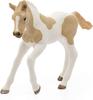 Schleich Horse Club Paint Horse Foal 13886N