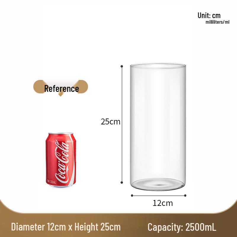 Straight Cylinder Glass Vase for Pothos and Hydroponic Decor