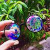 Party Sunglasses Clear Sunglasses Eyewears Plastic Round Glasses For Fashion Show Cosplay Festival Concert Club Costume