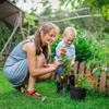 Gartenwerkzeug – Bänder & Clips für Pflanzenbündeln