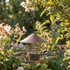Retractable Automatic Bird Feeder Hanging Bird Food Container Wild Bird Feeding Station  Porch