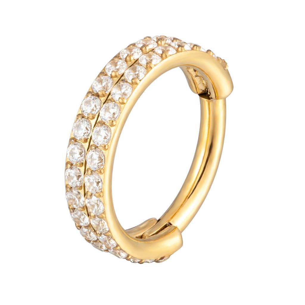 G23 Titan Piercing Doppelreihe CZ Überlegene Qualität High Segment Ringe Kleine Septum Nasenringe Ohrringe Piercing Körper Zirkon