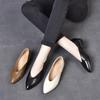 2025 new spring and summer women's shoes pointed thick heel soft leather single shoes brown ladyshoes grandma shoes medium heel Korean version shoes