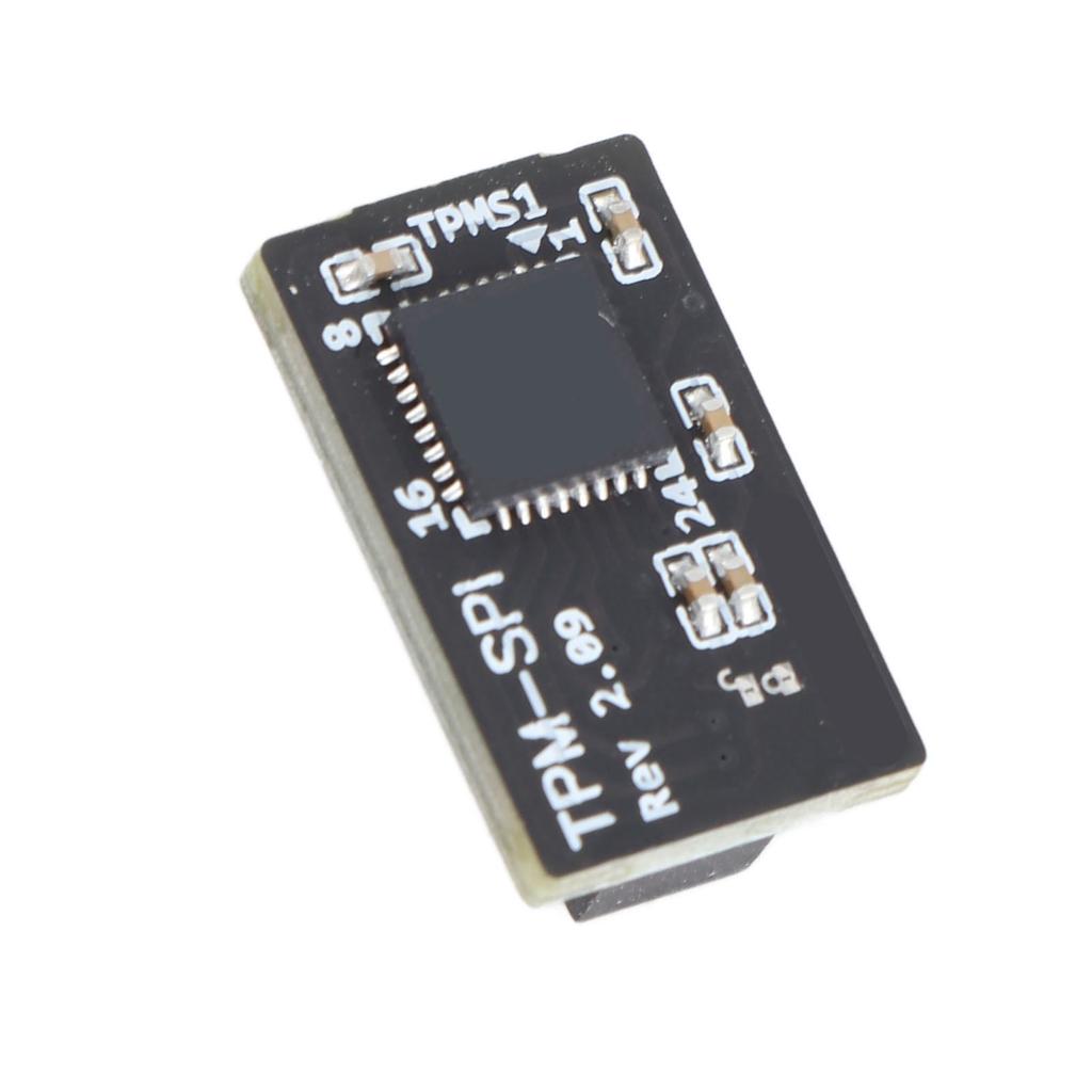 TPM Module 14 Pin SPI Remote Card Encryption Security Board for Asrock Motherboard