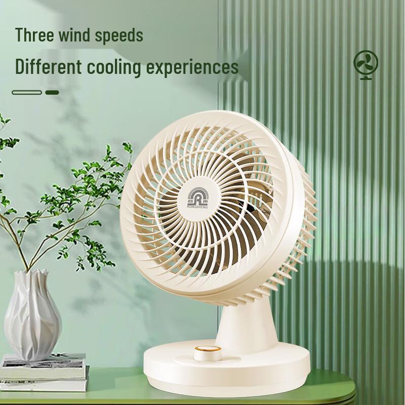 RONGSHENG Quiet Oscillating Desktop Circulation Fan CN Plug (adapter Included)