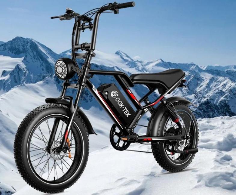 Ebike S8 Electric Bicycle 1000W 48V 17.5AH Ebike, 20-inch X4.0 Electric Tire Electric Urban Mountain Bike