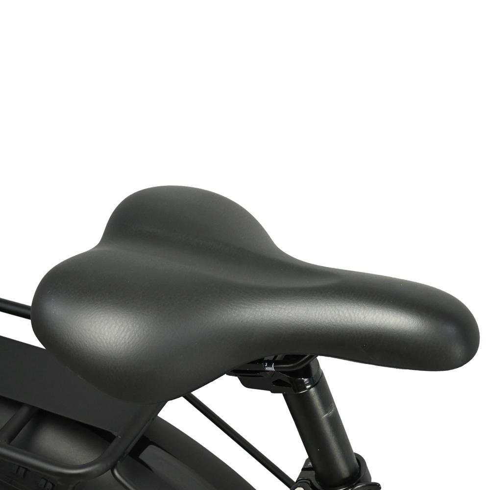 BAOLUJIE DP-2619 Speichenrad Erwachsenen Elektrofahrrad 750W Motor 48V13AH Batterie 26*4 Zoll Fat Tire E-Bike Mountain Offroad Elektrofahrrad